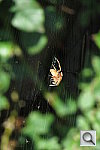 Click to see YIMG_0546.JPG