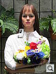 Click to see SX50OUTB_AUTO.JPG