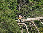 Click to see Y-SX50-3-TRP-TELE.JPG