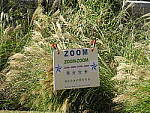 Click to see Y-SX50-IMG_2006-HH-WithIS_Cont.JPG