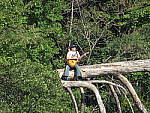 Click to see Y-SX60-3-TRP-TELE.JPG