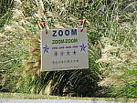 Click to see Y-SX60-IMG_0074-HH-NoIS.JPG