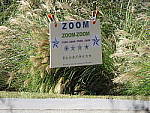 Click to see Y-SX60-IMG_0082-HH-WithIS.JPG