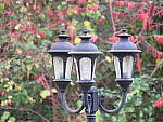 Click to see YZ-SX60-FINE.JPG