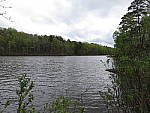 Click to see YGWT1A_WIDE_0049.JPG