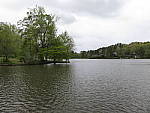 Click to see YGWT2A_WIDE_0139.JPG