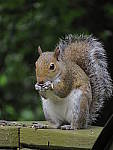 Click to see YG-IMG_0100.JPG