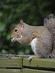 Click to see YG-IMG_0101.JPG