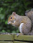 Click to see YG-IMG_0102.JPG