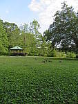 Click to see YG-IMG_0260.JPG