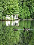 Click to see YG-IMG_0329.JPG