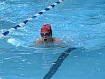 Click to see YG-IMG_0569.JPG