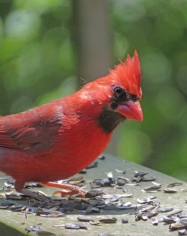 Canon SX720 Review - sample gallery image