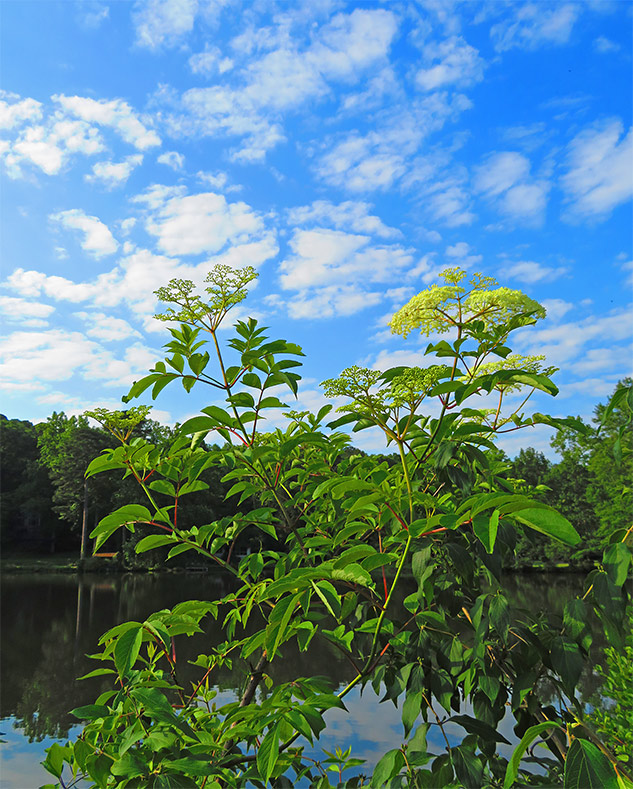 Canon SX720 Review - sample gallery image