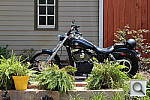 Click to see YIMG_0737.JPG