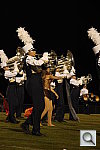 Click to see YIMG_2752.JPG