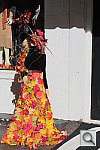 Click to see YIMG_2921.JPG
