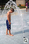 Click to see YpIMG_0910.JPG