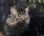 Click to see Y-50mm-1898-EDIT.JPG