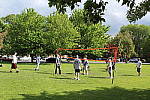 Click to see Y-IMG_0695.JPG