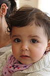 Click to see Y-IMG_0785.JPG
