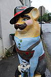 Click to see Y-IMG_0884.JPG