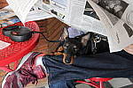 Click to see Y-IMG_0897.JPG
