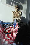 Click to see Y-IMG_0915.JPG