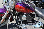 Click to see Y-IMG_0956.JPG