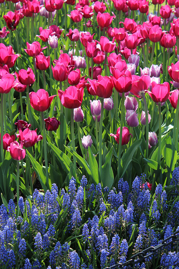 Canon T5 Review -- Gallery photo