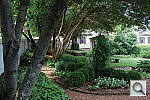 Click to see YIMG_2831.JPG