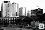 Click to see YIMG_2969.JPG