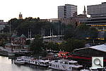 Click to see YIMG_3029.JPG