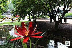 Canon T5i shooter's report photo