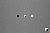 Click to see T5IFL08T.JPG