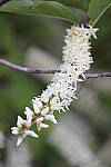 Click to see YIMG_0413.JPG