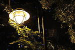 Click to see YIMG_0628.JPG
