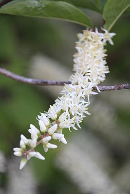 Canon T6 review -- Sample photo