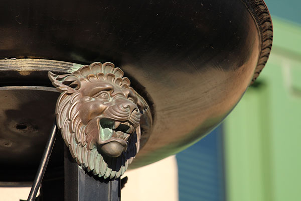 Canon T6 review -- Sample photo