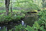 Click to see YIMG_0820-HDR.JPG