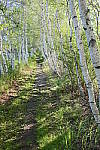 Click to see YIMG_0839-HDR.JPG