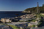 Click to see Y_MG_0795.JPG