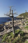 Click to see Y_MG_0814.JPG