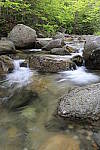 Click to see Y_MG_0924.JPG