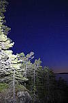 Click to see Y_MG_0953.JPG