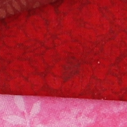 100% crop from Canon T6i test image taken at ISO 100