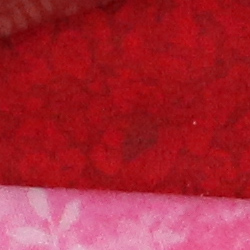 100% crop from Canon T6i test image taken at ISO 1600