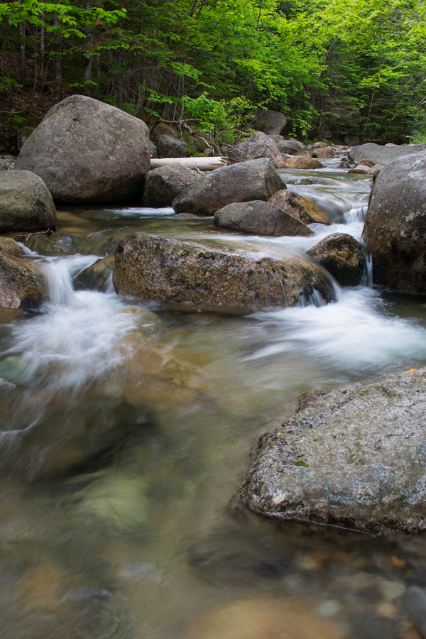 Canon T6i Review -- Gallery Image