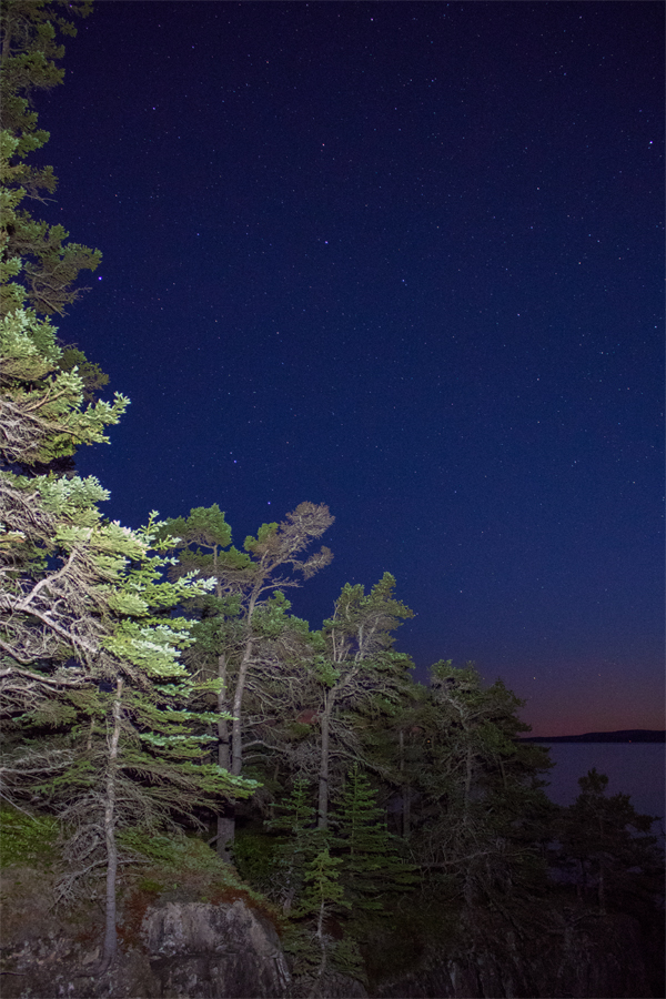Canon T6i Review -- Gallery Image