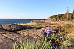 Click to see YIMG_1494.JPG